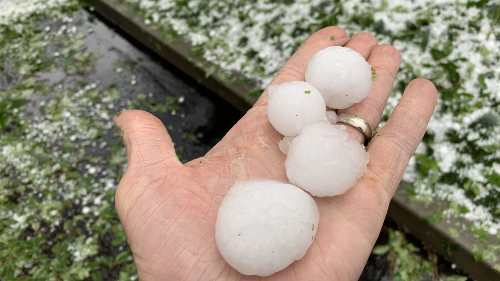 Hail Stones in Colorado Springs